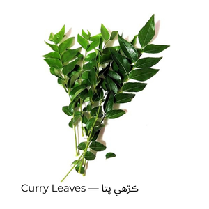 Curry Leaves — ڪڙهي پتا