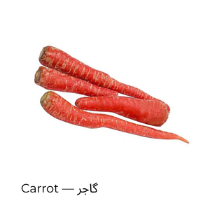 Carrot — گاجر