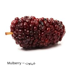 Mulberry — شہتوت