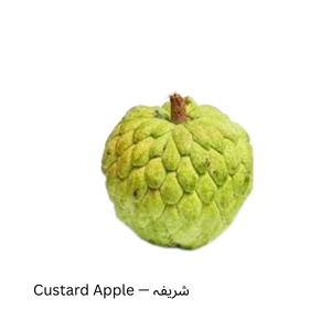 Custard Apple — شریفہ
