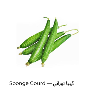 Sponge Gourd — گهيا تورائي