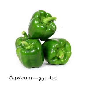 Capsicum — شملہ مرچ
