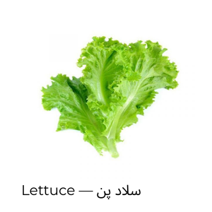 Lettuce — سلاد پن