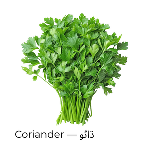 Coriander — ڌاڻو
