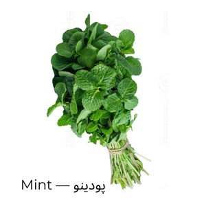 Mint — پودينو